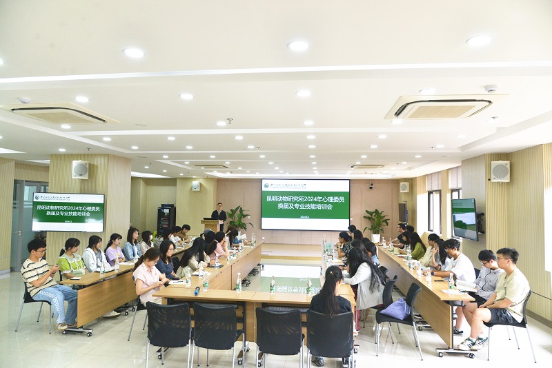 电子游戏app下载安装