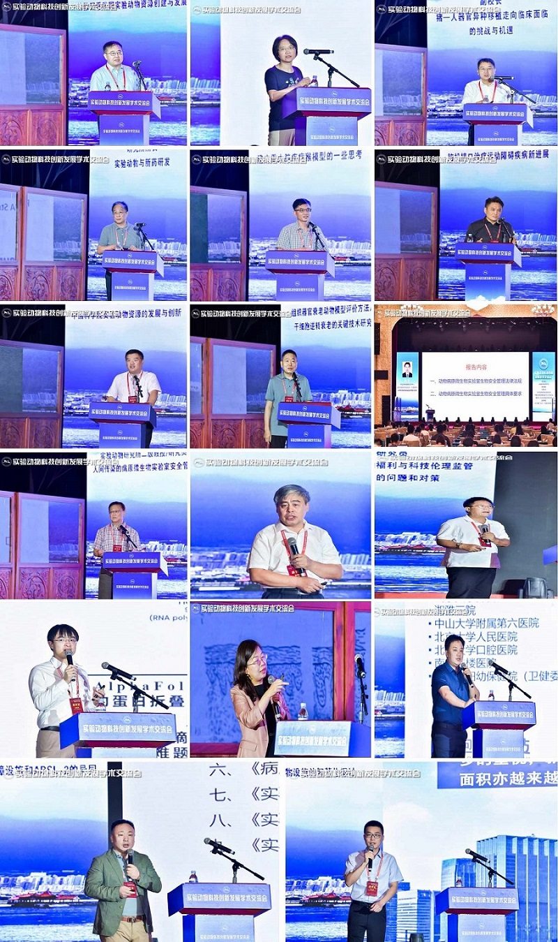 电子游戏app下载安装