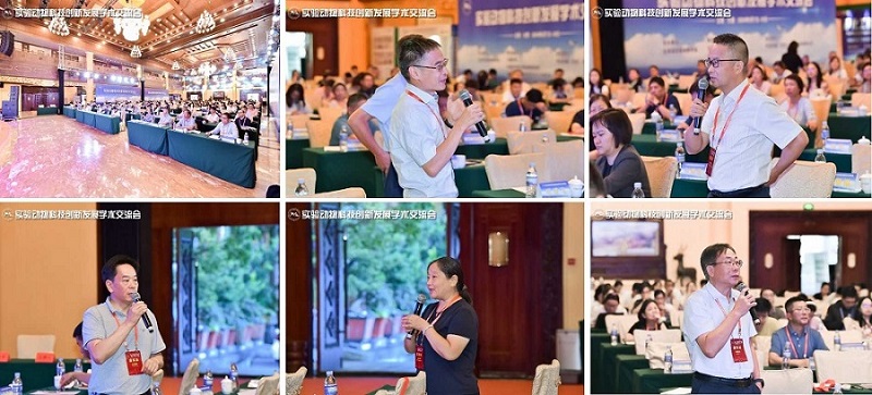 电子游戏app下载安装