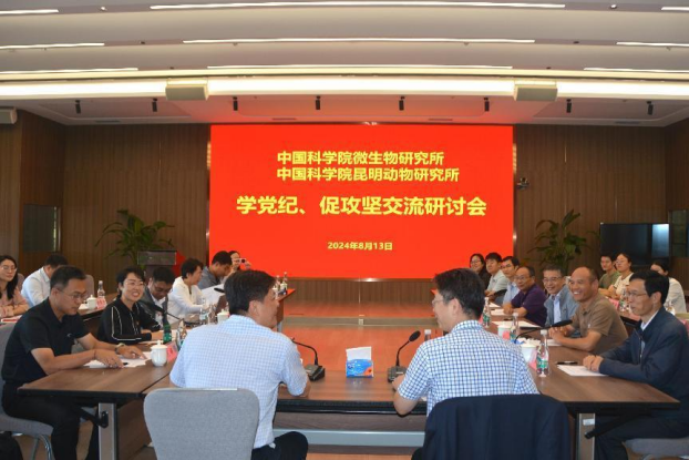 电子游戏app下载安装