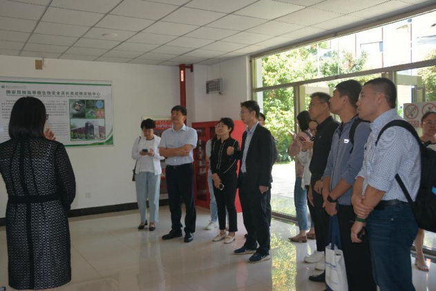 电子游戏app下载安装