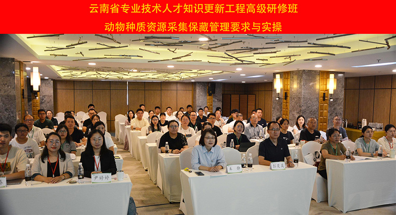 电子游戏app下载安装