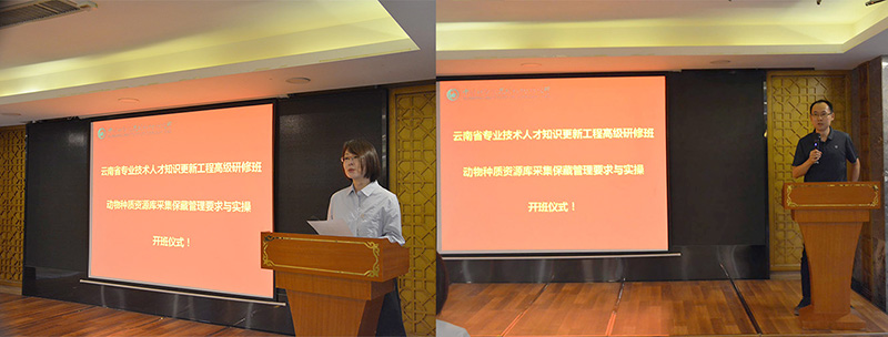 电子游戏app下载安装