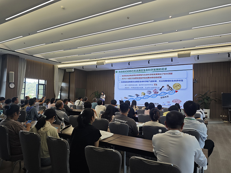 电子游戏app下载安装