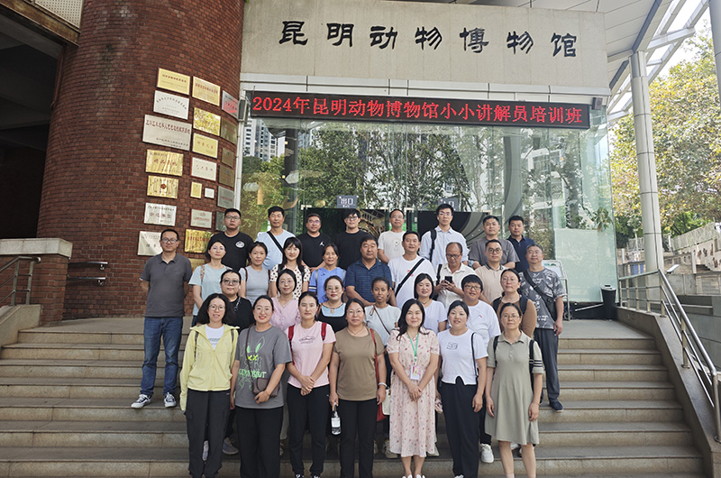 电子游戏app下载安装