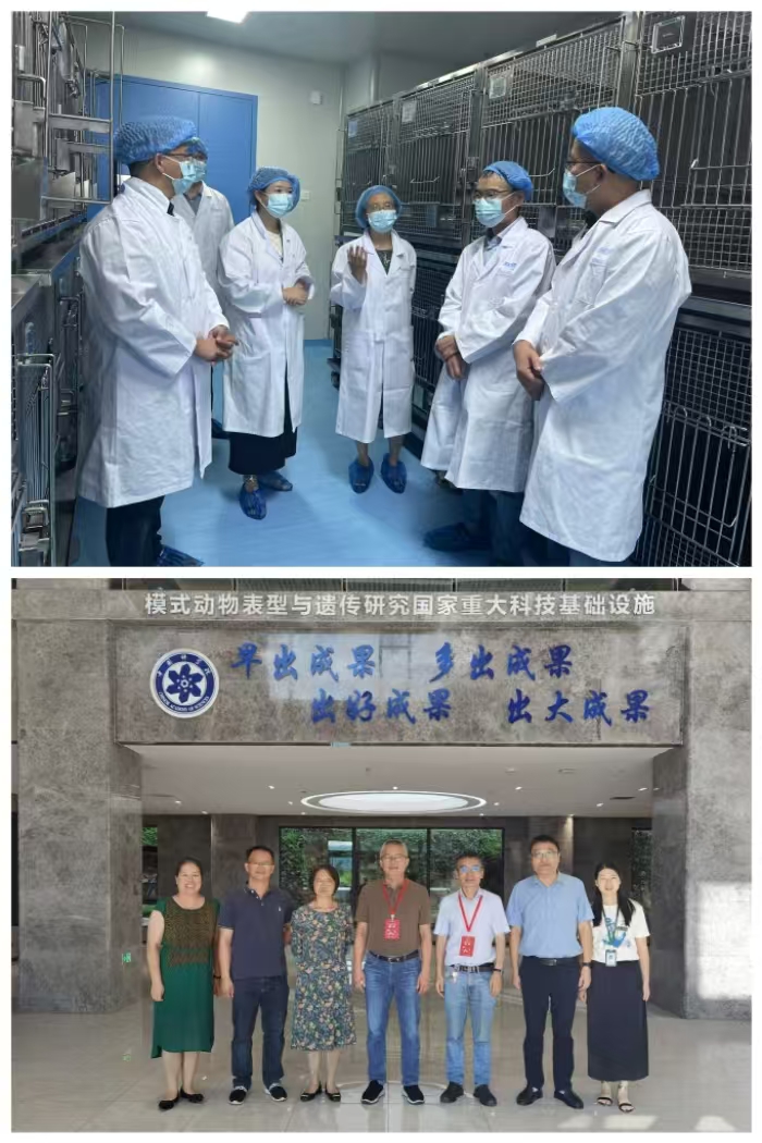 电子游戏app下载安装