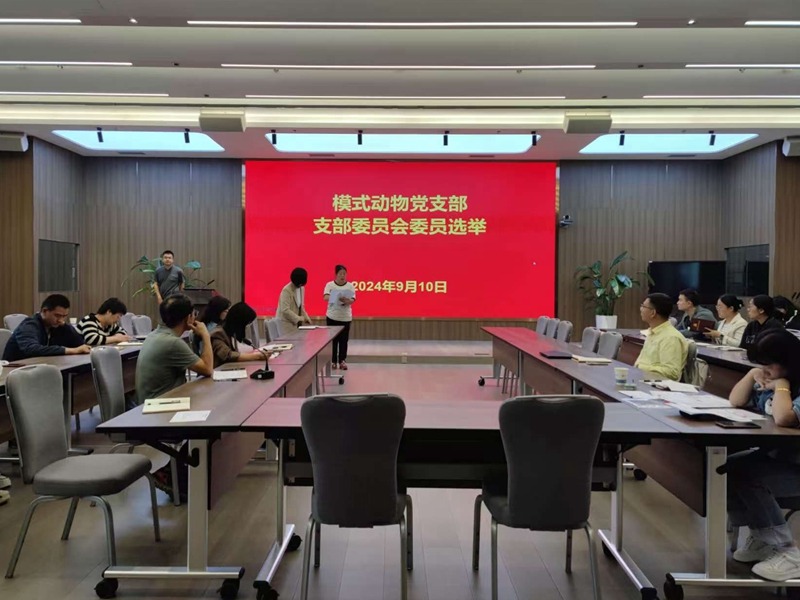 电子游戏app下载安装