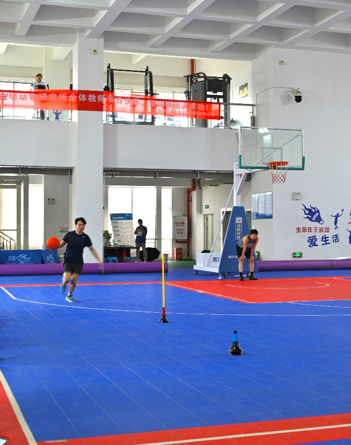 电子游戏app下载安装