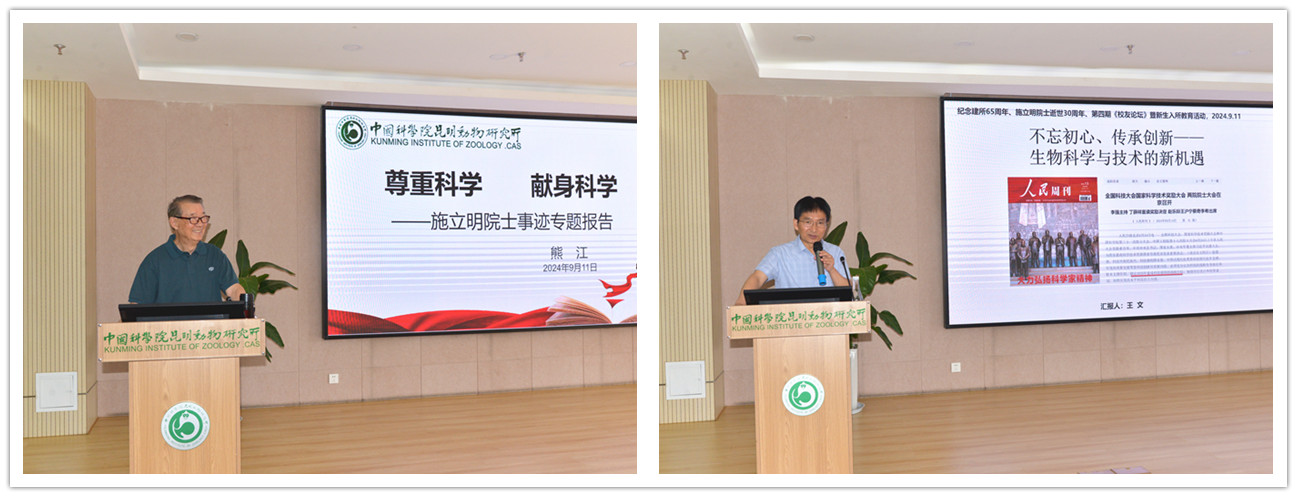 电子游戏app下载安装