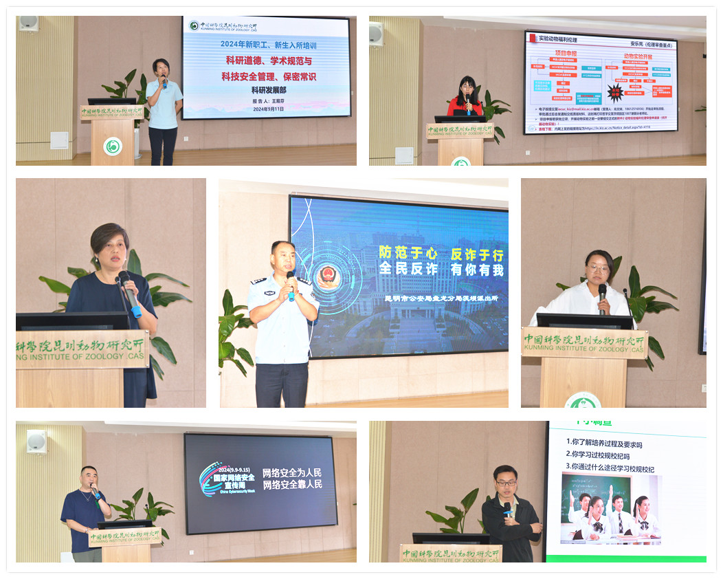 电子游戏app下载安装