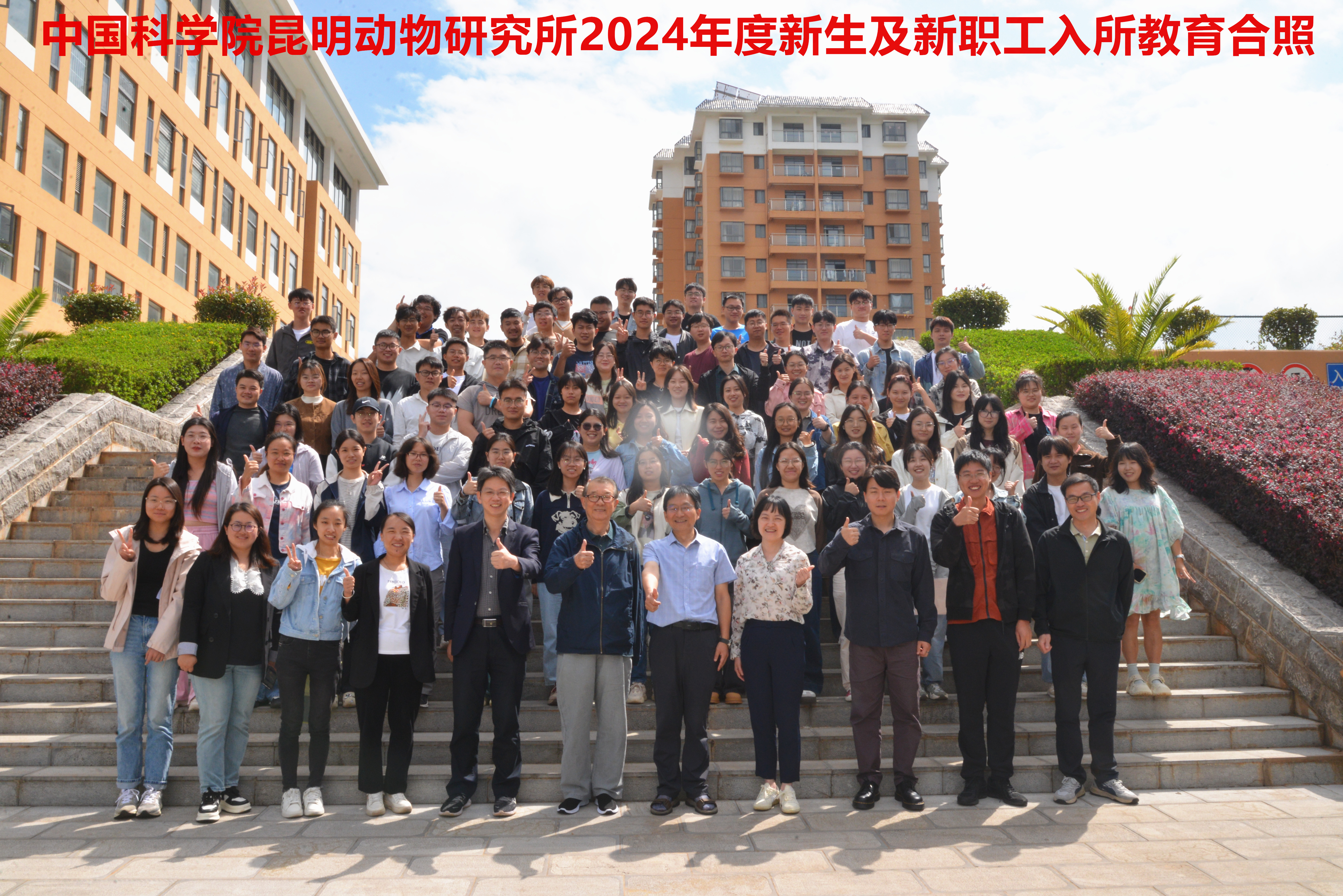 电子游戏app下载安装