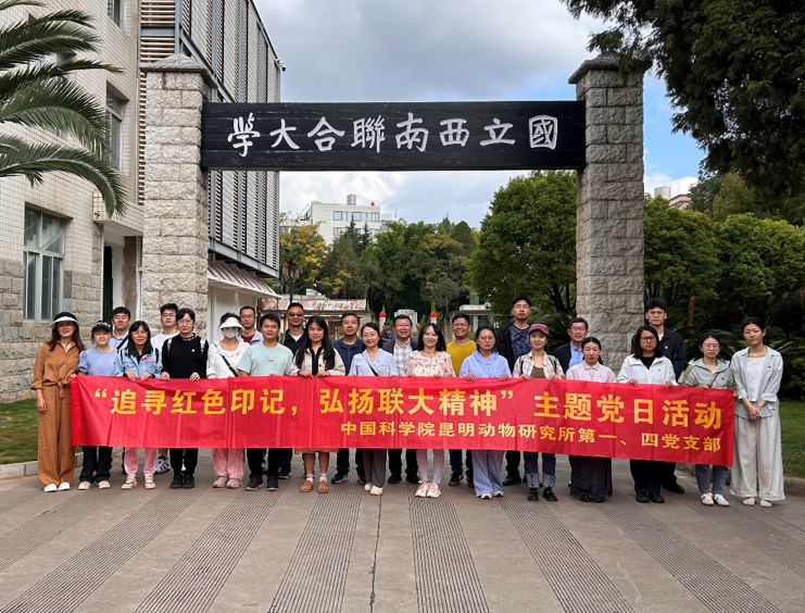 电子游戏app下载安装