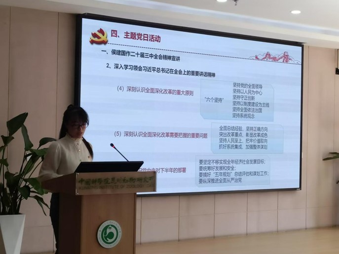 电子游戏app下载安装