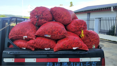 电子游戏app下载安装