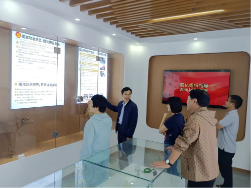 电子游戏app下载安装