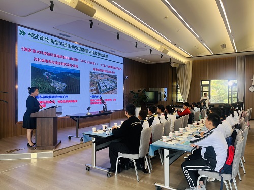 电子游戏app下载安装