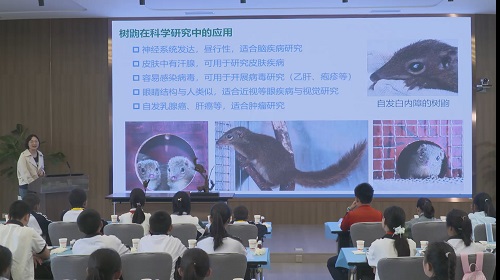 电子游戏app下载安装