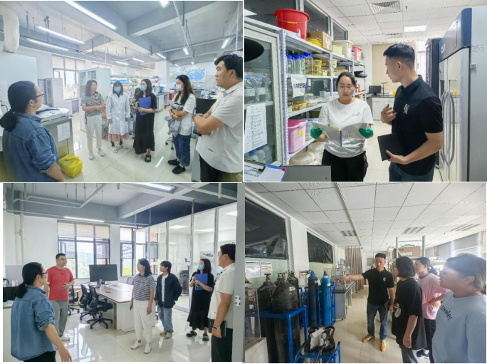 电子游戏app下载安装