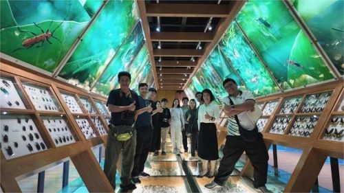 电子游戏app下载安装