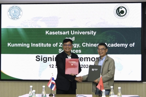 电子游戏app下载安装