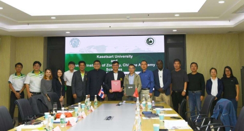 电子游戏app下载安装