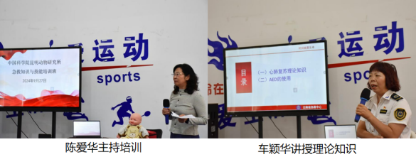 电子游戏app下载安装