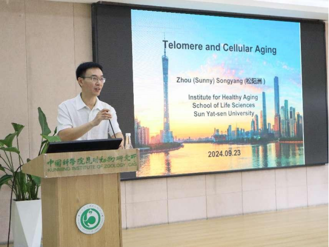 电子游戏app下载安装