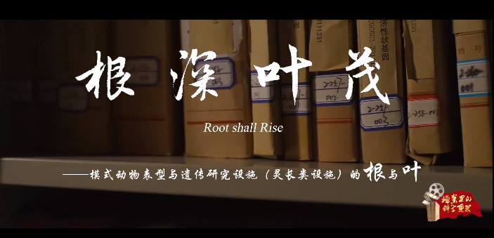 电子游戏app下载安装