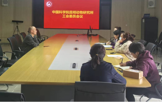 电子游戏app下载安装