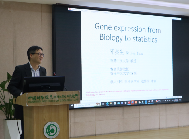 电子游戏app下载安装