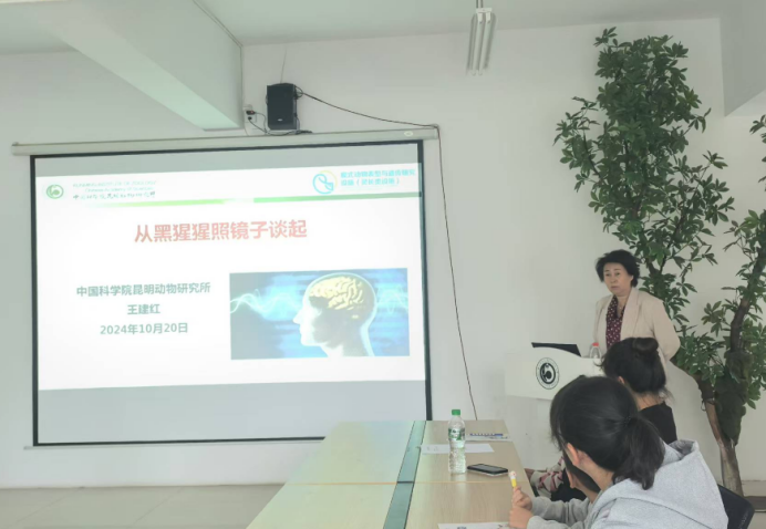 电子游戏app下载安装