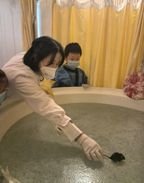 电子游戏app下载安装