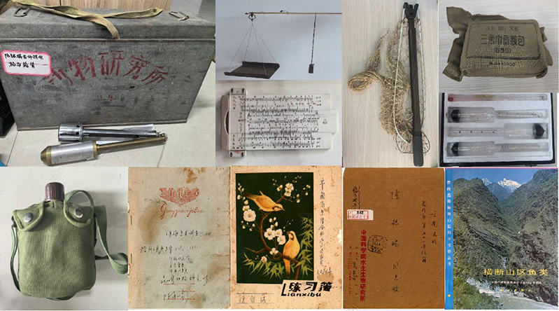 电子游戏app下载安装