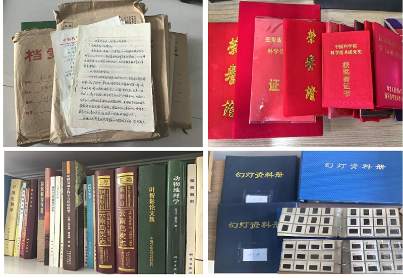 电子游戏app下载安装