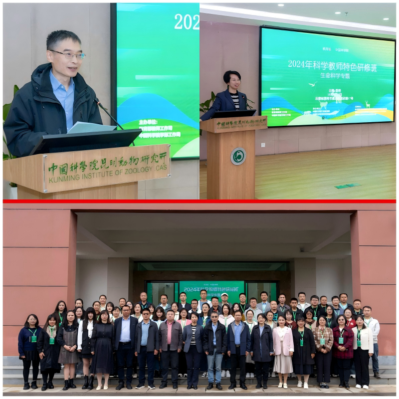 电子游戏app下载安装