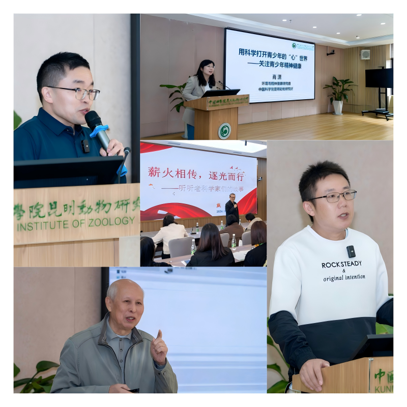 电子游戏app下载安装