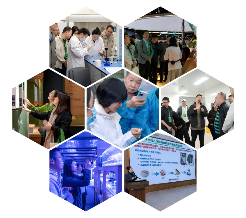 电子游戏app下载安装