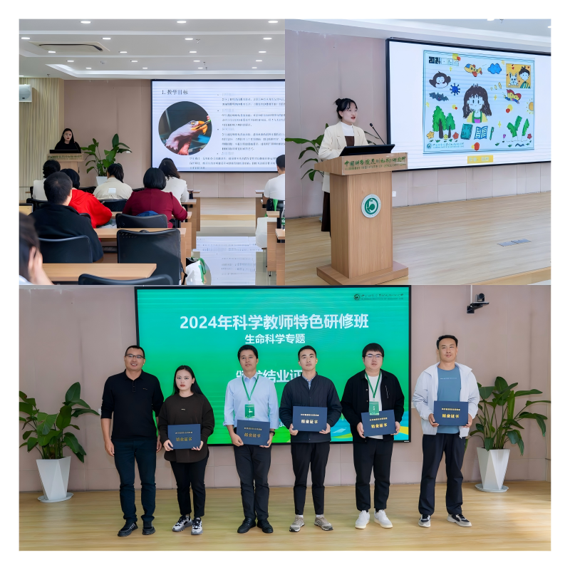 电子游戏app下载安装