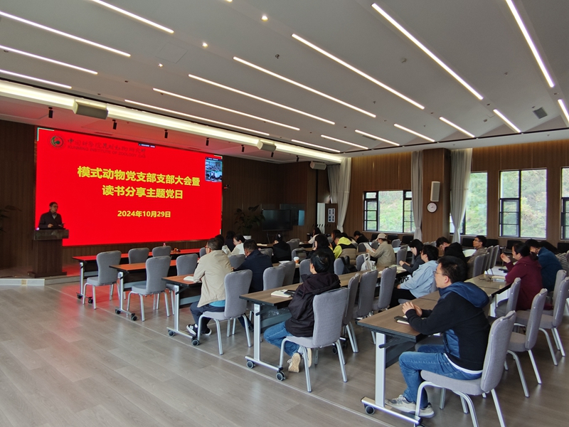 电子游戏app下载安装