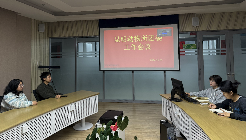 电子游戏app下载安装