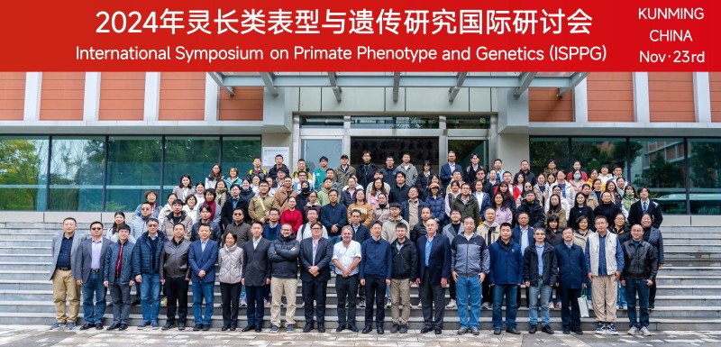 电子游戏app下载安装