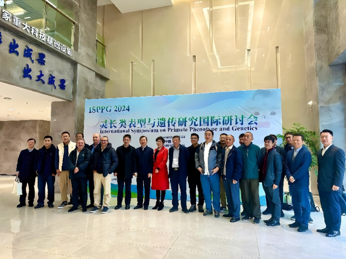 电子游戏app下载安装