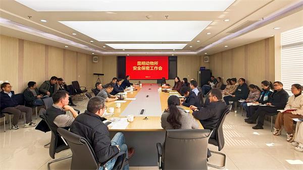 电子游戏app下载安装