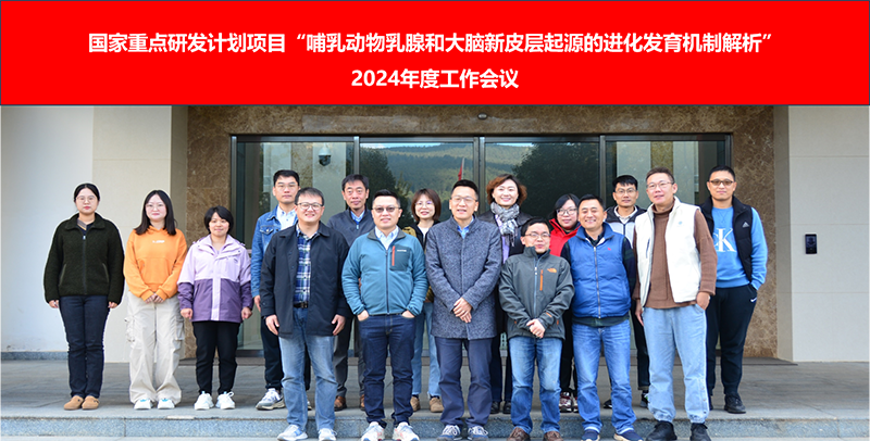 电子游戏app下载安装