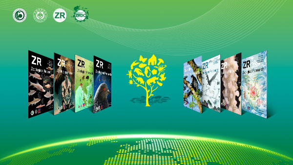 电子游戏app下载安装