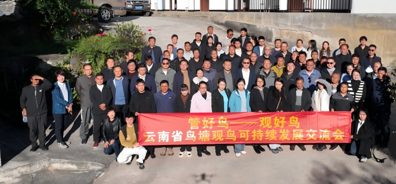 电子游戏app下载安装