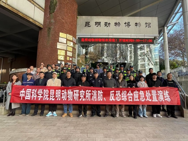 电子游戏app下载安装