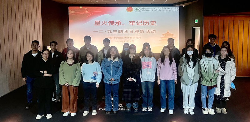 电子游戏app下载安装