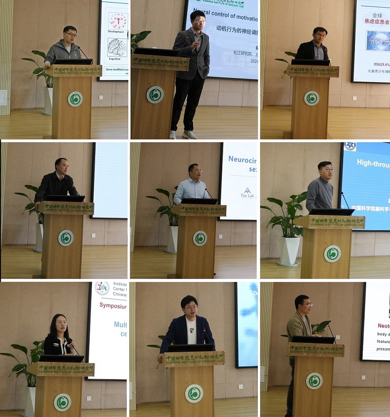 电子游戏app下载安装