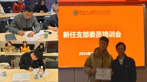 电子游戏app下载安装